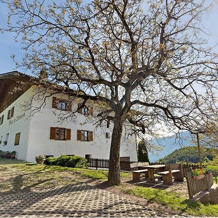 Moar Im Rumsein - Apt Saltenblick テルラーノ エクステリア 写真