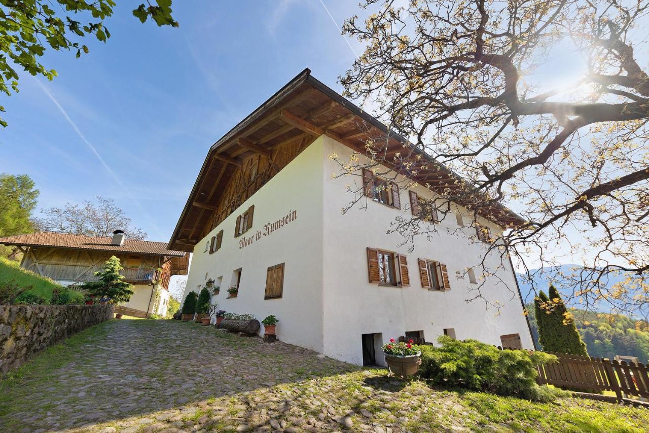 Moar Im Rumsein - Apt Saltenblick テルラーノ エクステリア 写真